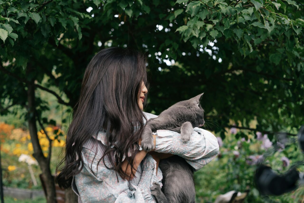 How Sharing Your Life with a Cat Brings Balance and Bliss