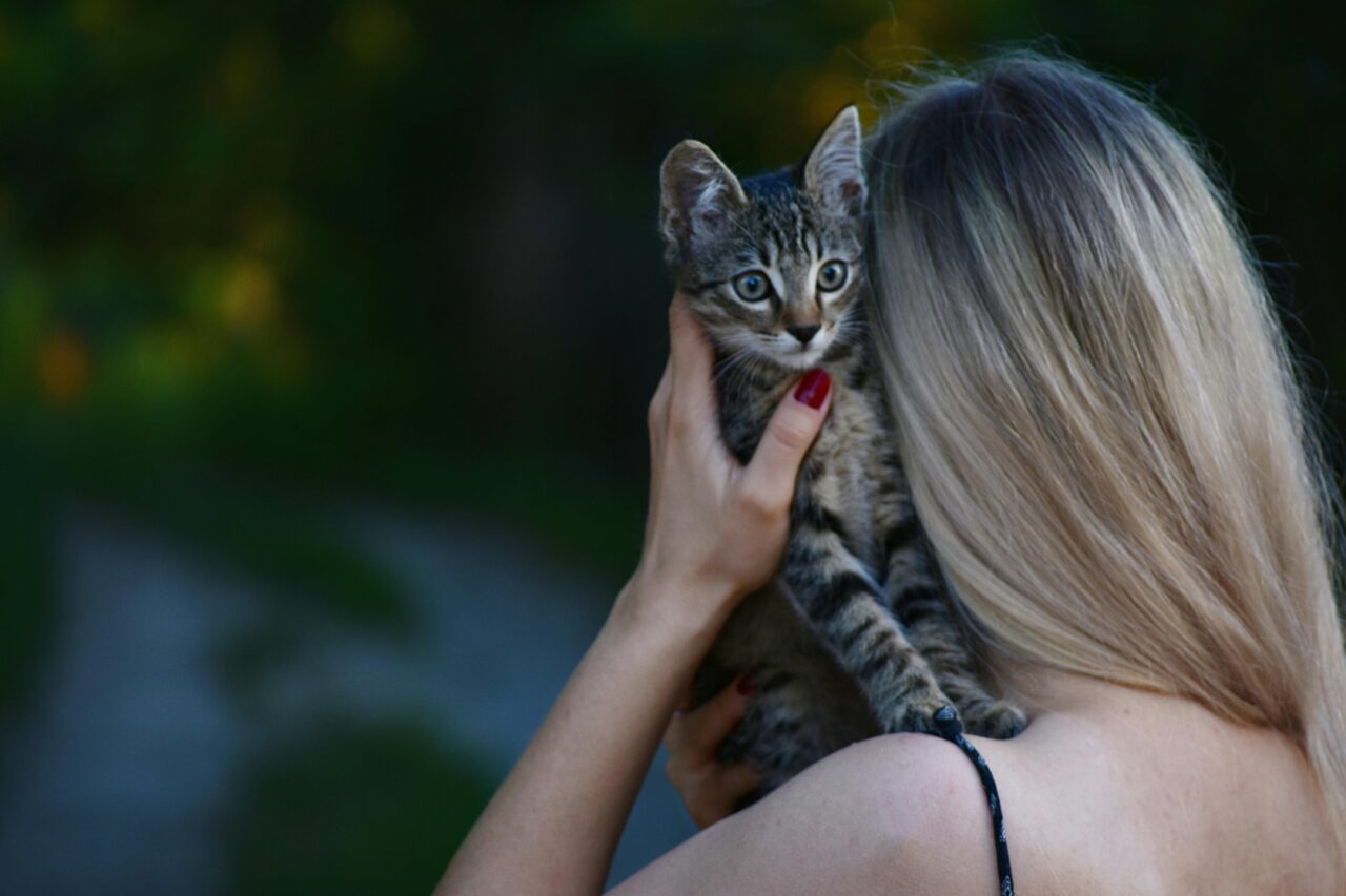 How Sharing Your Life with a Cat Brings Balance and Bliss