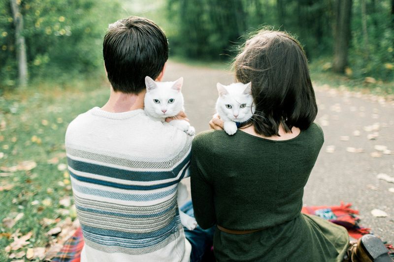 Here Are 10 Ways Cats Can Strengthen the Bond Between You and Your Significant Other