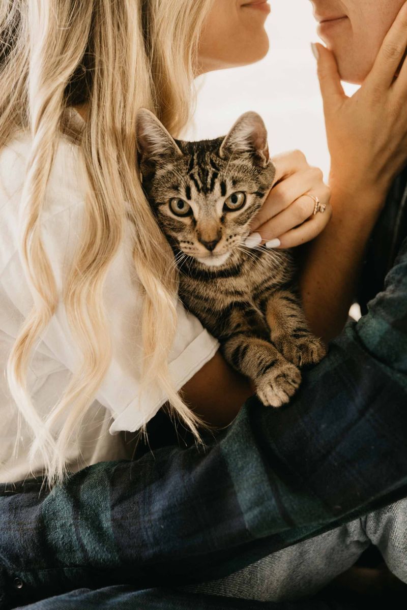 Here Are 10 Ways Cats Can Strengthen the Bond Between You and Your Significant Other