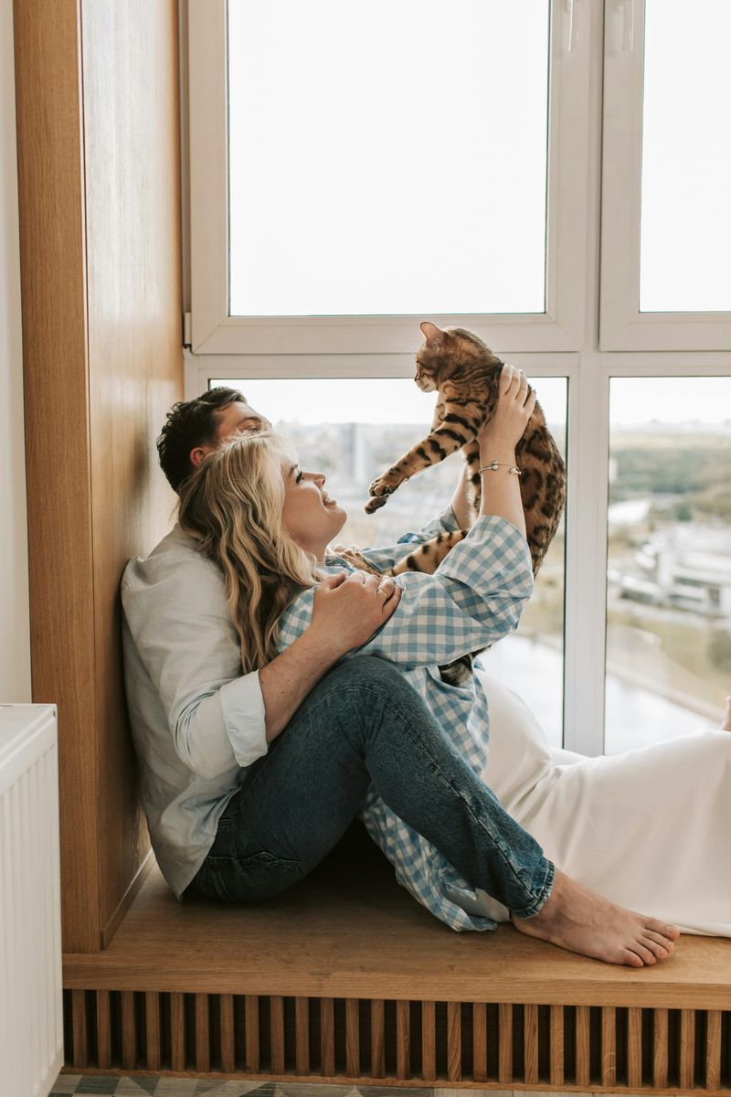 Here Are 10 Ways Cats Can Strengthen the Bond Between You and Your Significant Other