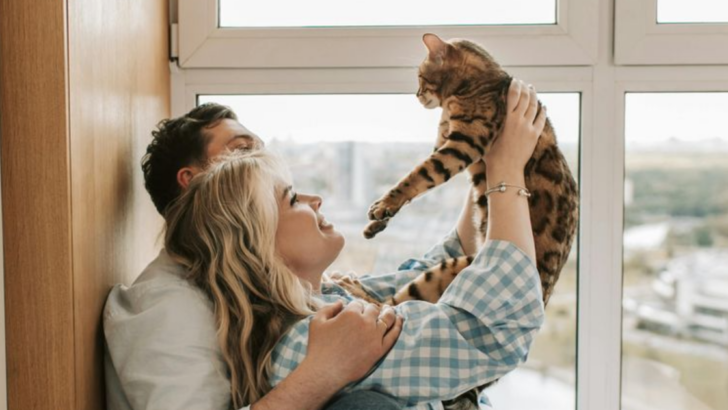 Here Are 10 Ways Cats Can Strengthen the Bond Between You and Your Significant Other