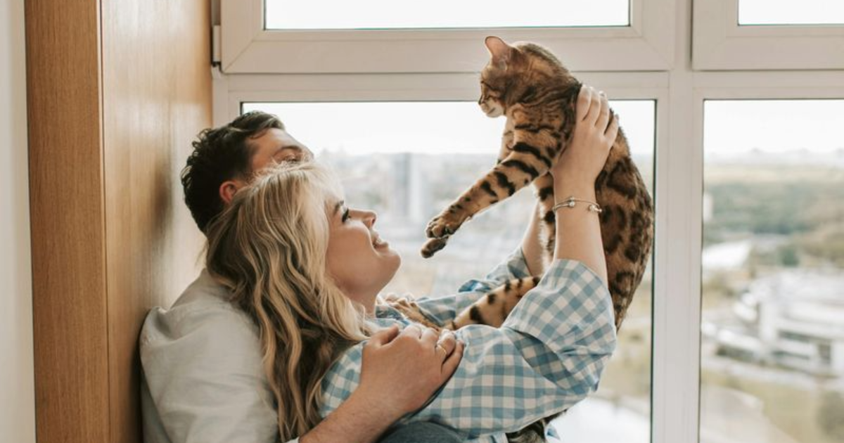 Here Are 10 Ways Cats Can Strengthen the Bond Between You and Your Significant Other