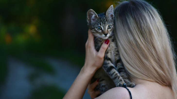 How Sharing Your Life with a Cat Brings Balance and Bliss