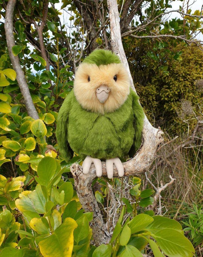 Kakapo