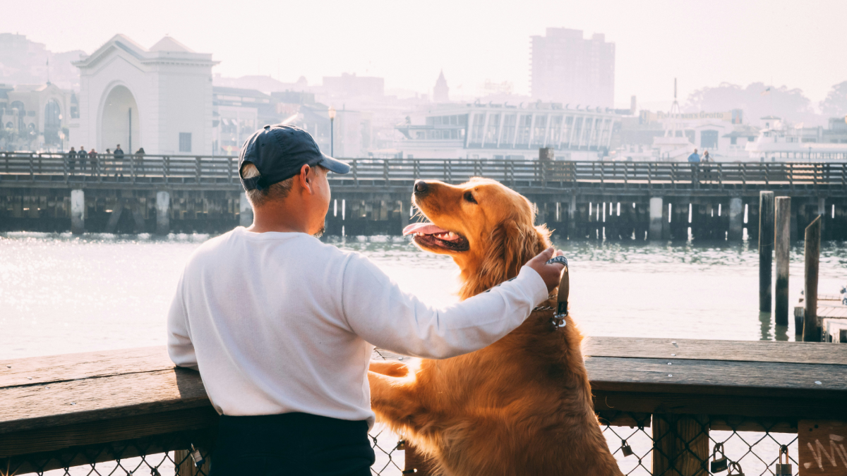 Meet 10 Dog Breeds That Connect With You on a Whole New Level