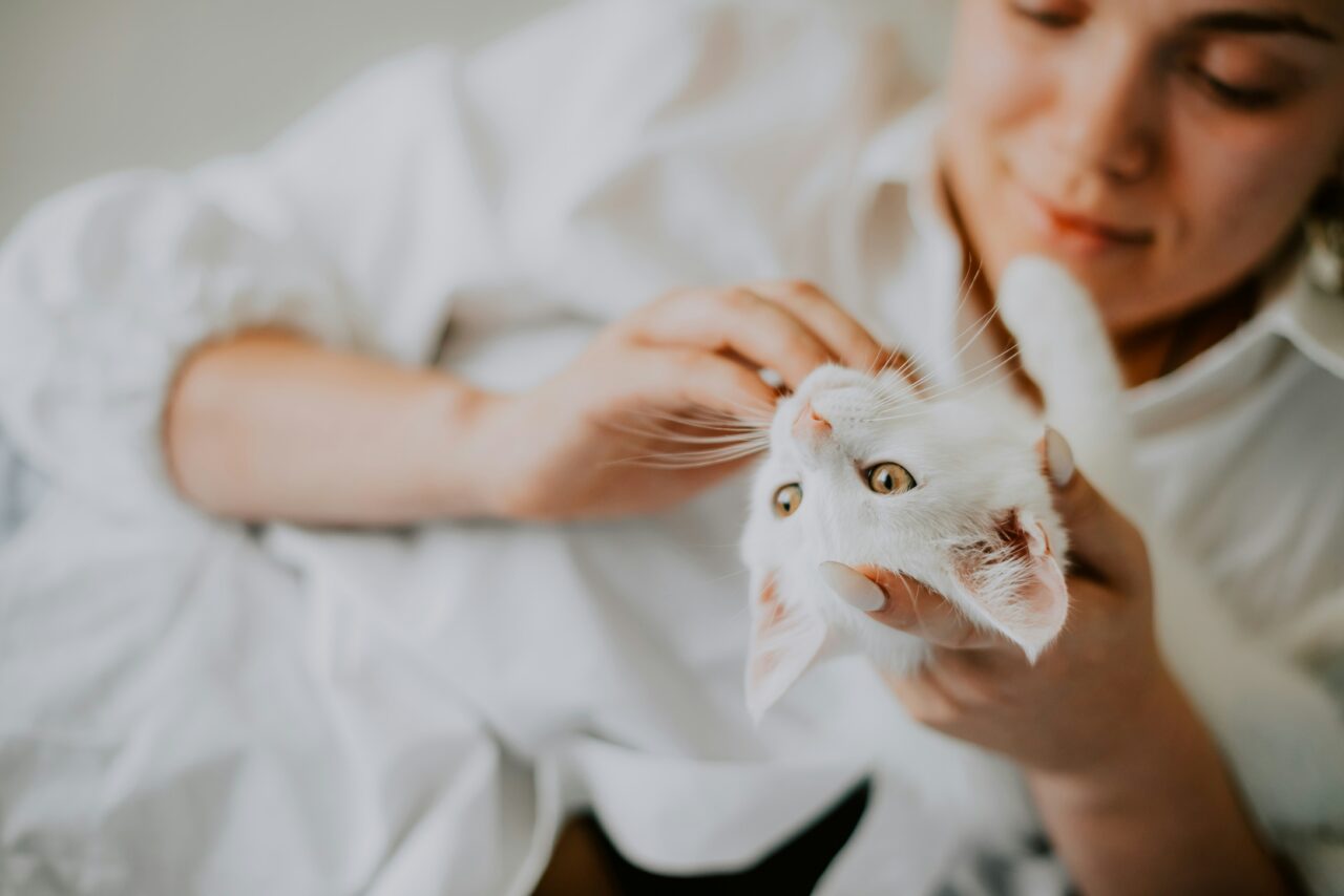 Why Cats Bite and What They’re Really Trying to Say