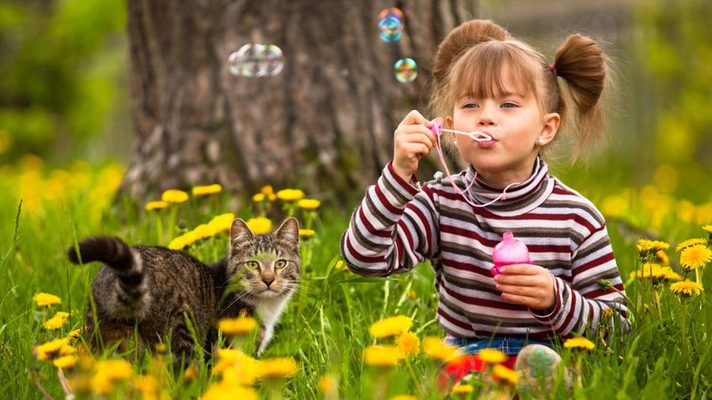 Playtime Engagement