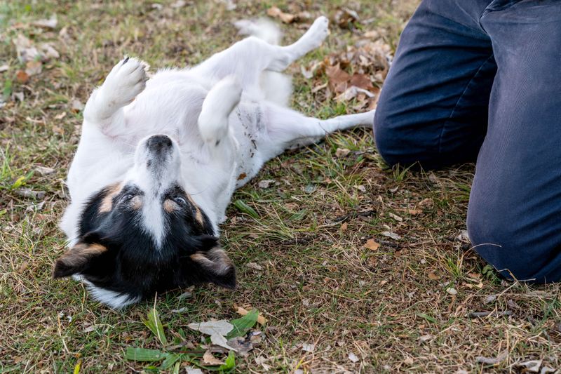 Relaxing Belly Up