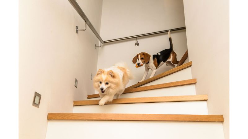 Staircase Workout