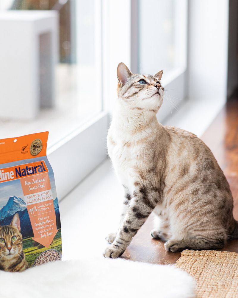 Stop Wasting Money on the Wrong Cat Food and Stick to These 7