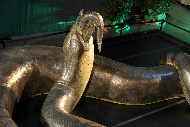 The 6 Most Terrifying Snakes That No Longer Exist but Once Dominated the Earth