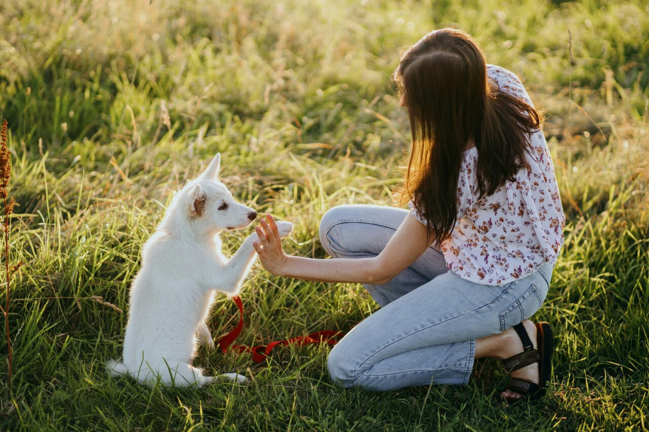 Whoops! 10 Common Mistakes Dog Owners Should Dodge to Keep Their Pups Happy