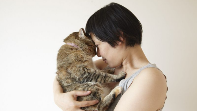 10 Adorable Ways Your Cat Says I Trust You