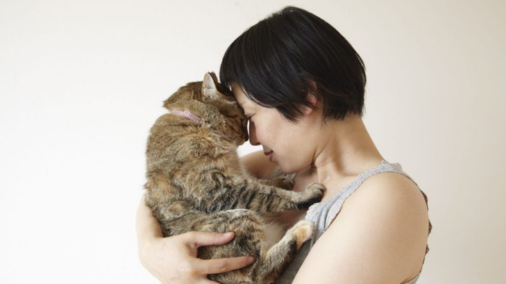 10 Adorable Ways Your Cat Says “I Trust You”