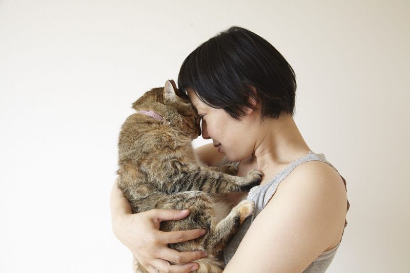 10 Adorable Ways Your Cat Says "I Trust You"