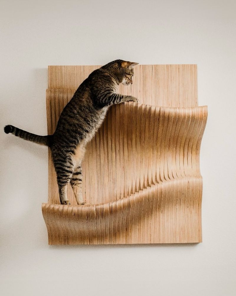 10 Genius Space Hacks That Will Make Your Tiny Apartment Look Huge to Your Cat