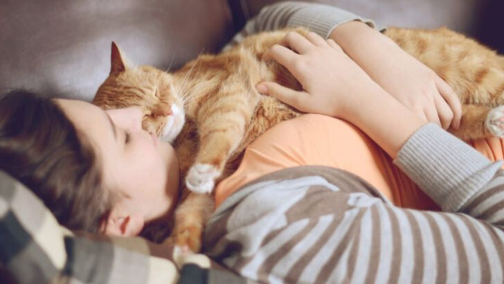 11 Crucial Do’s and Don’ts for Raising a Well-Behaved Cat Every Owner Needs to Master