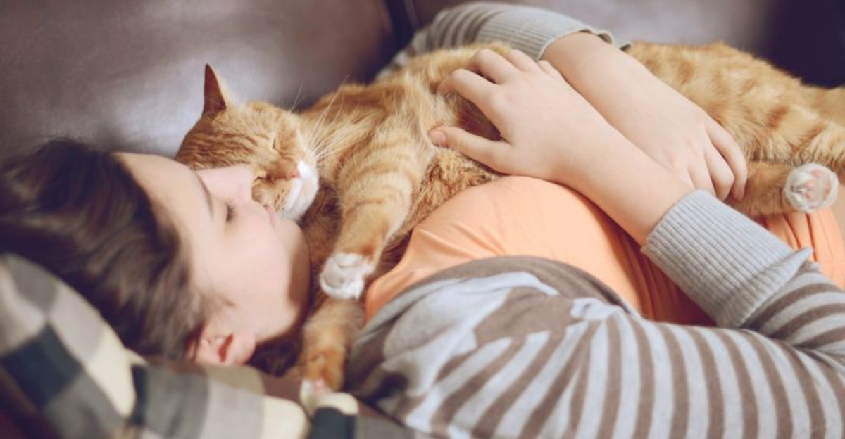 11 Crucial Do’s and Don’ts for Raising a Well-Behaved Cat Every Owner Needs to Master