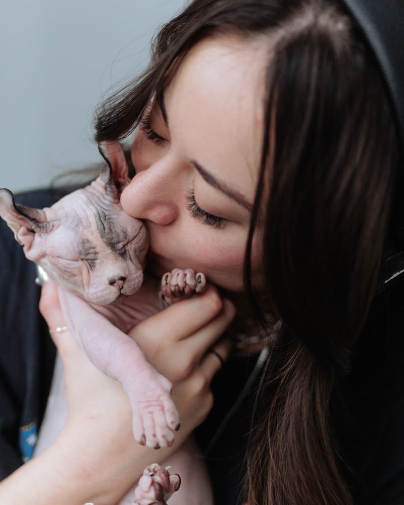 12 Defining Traits That Show Why Sphynx Cats Are So Fascinating