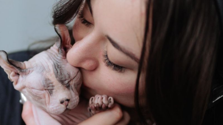 12 Defining Traits That Show Why Sphynx Cats Are So Fascinating