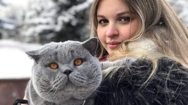 12 Endearing Quirks of British Shorthair Cats That Make Them Truly Unique