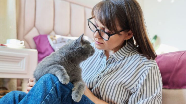 15 Expert-Backed Tips to Discipline Your Cat the Right Way