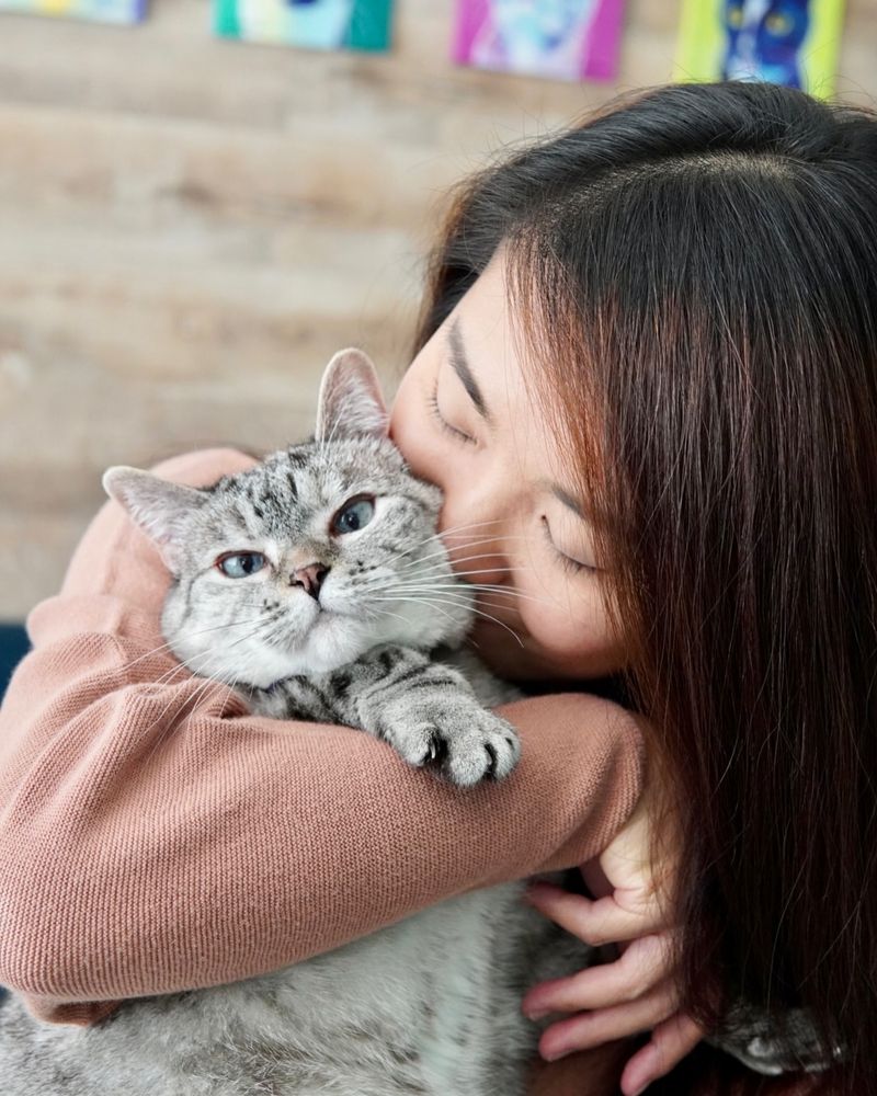 15 Surprising Reasons Why Cats Purr (and What They’re Trying to Tell You)