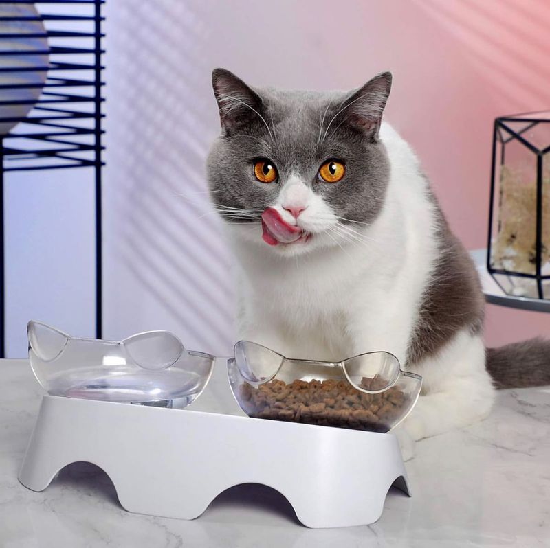 5 Simple Ways to Keep Ants Out of Your Cat’s Food (That Work!)