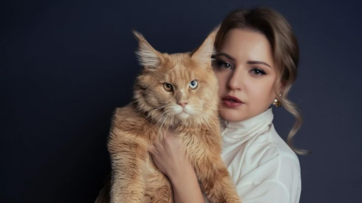 8 Incredible Cat Breeds That Make the Best Emotional Support Companions