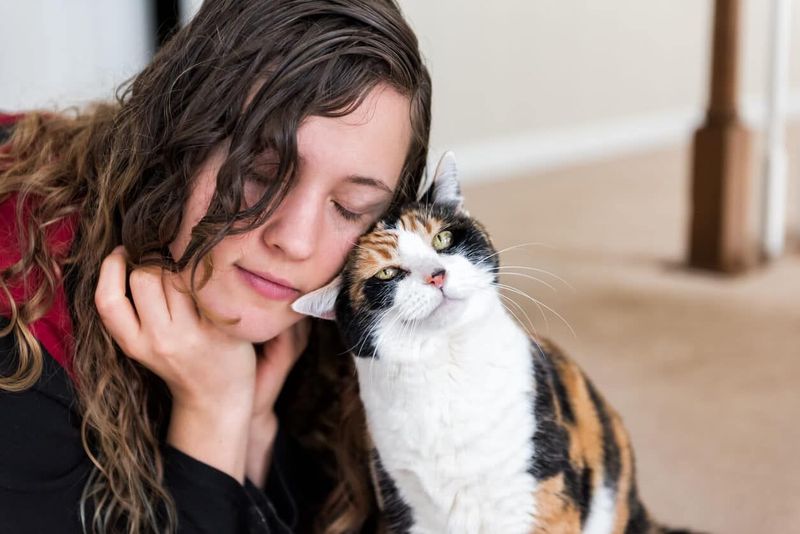 Are You Your Cat’s Favorite Human? Here’s How to Tell