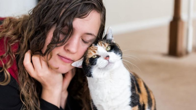 Are You Your Cat’s Favorite Human Here’s How to Tell