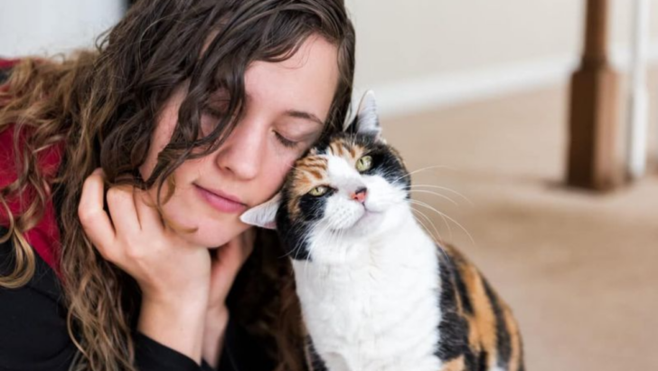 Are You Your Cat’s Favorite Human? Here’s How to Tell