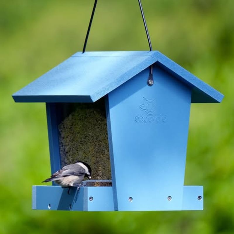 Bird Feeders