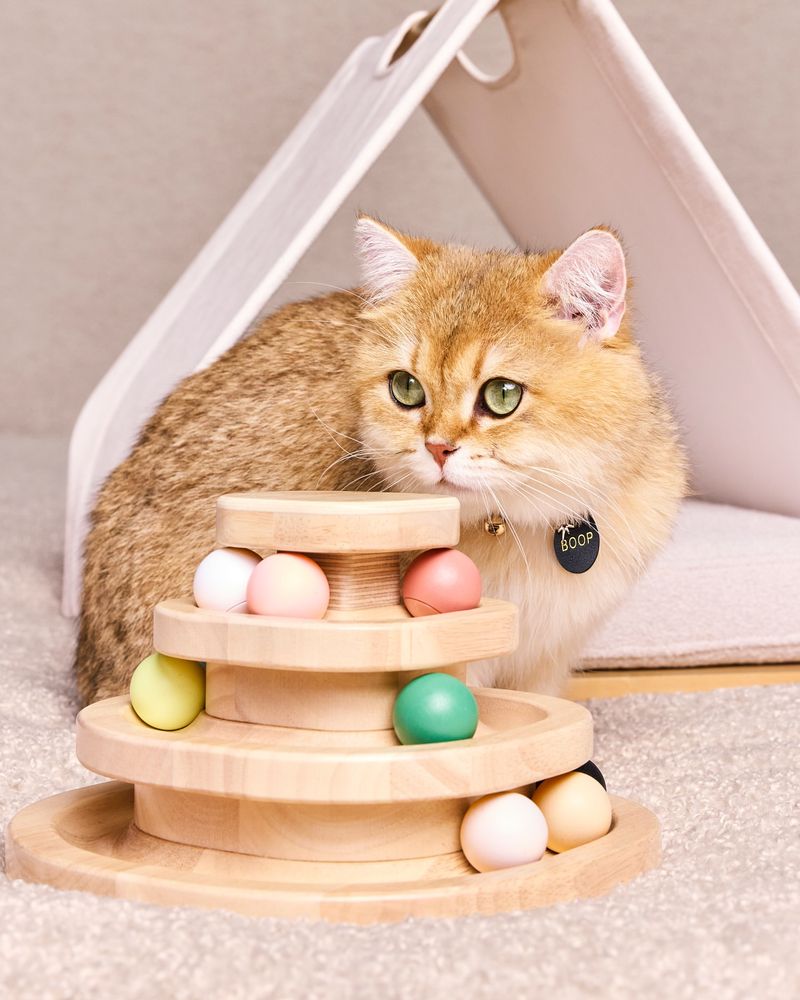 Choosing the Right Cat Toys