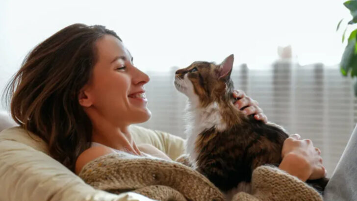 Forget Expensive Therapy — Here’s Why Cats Are the Ultimate Stress Relievers