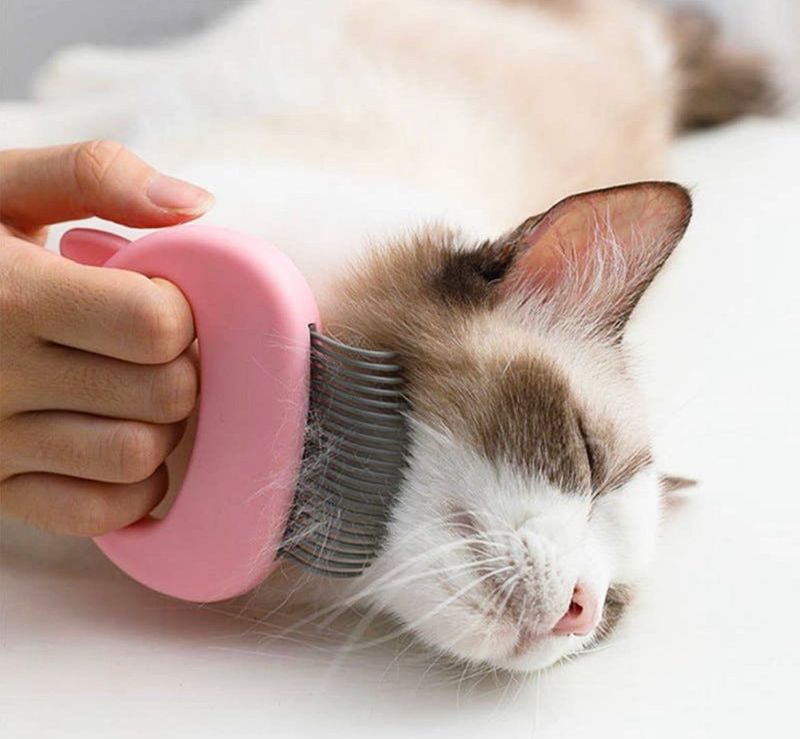 Groom Your Cat Like a Pro—And Keep Your Skin Scratch-Free