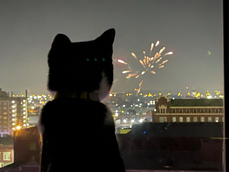 How to Protect Your Cat During Fireworks — 10 Tips for a Stress-Free Night