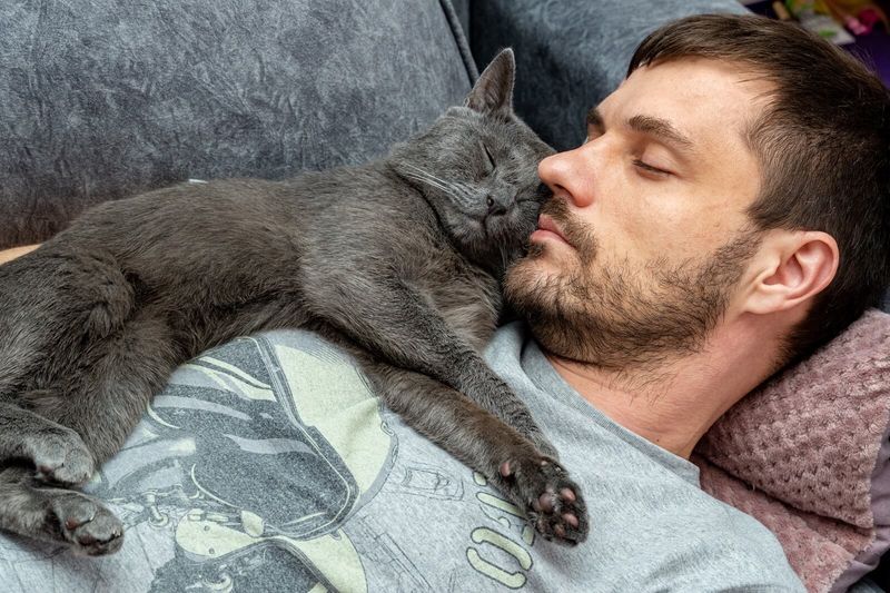 Is Your Cat Obsessed with Sleeping on Your Head? Here Are 10 Fascinating Reasons