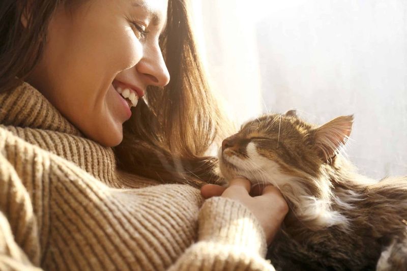 Is Your Cat Obsessed with Sleeping on Your Head? Here Are 10 Fascinating Reasons