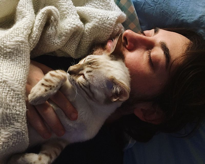 Is Your Cat Obsessed with Sleeping on Your Head? Here Are 10 Fascinating Reasons