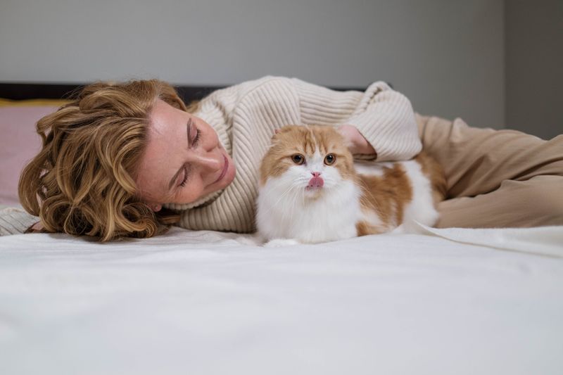 Is Your Cat Obsessed with Sleeping on Your Head? Here Are 10 Fascinating Reasons