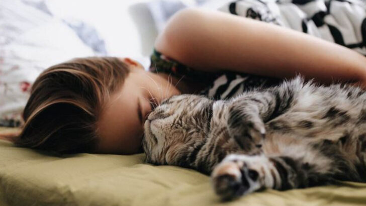 Is Your Cat Obsessed with Sleeping on Your Head? Here Are 10 Fascinating Reasons