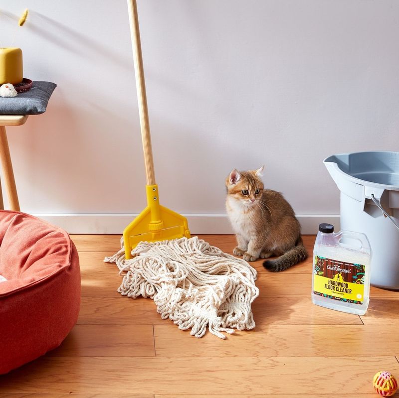 Non-Toxic Floor Cleaners