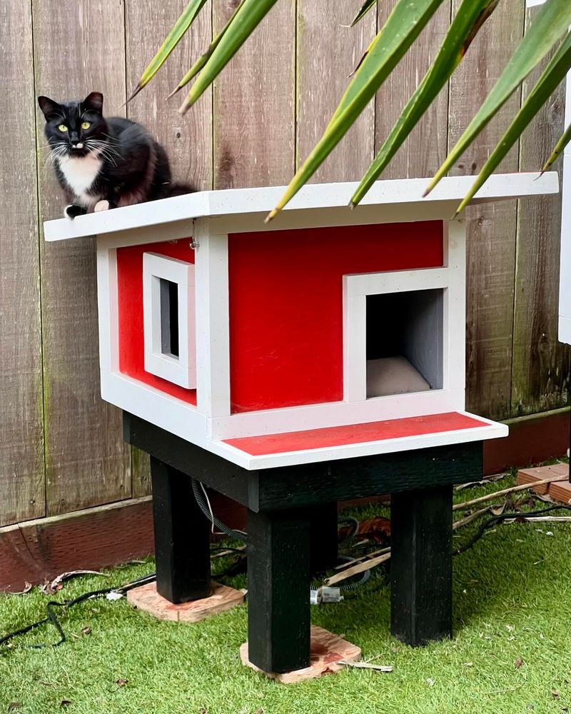 Outdoor Cat Shelter