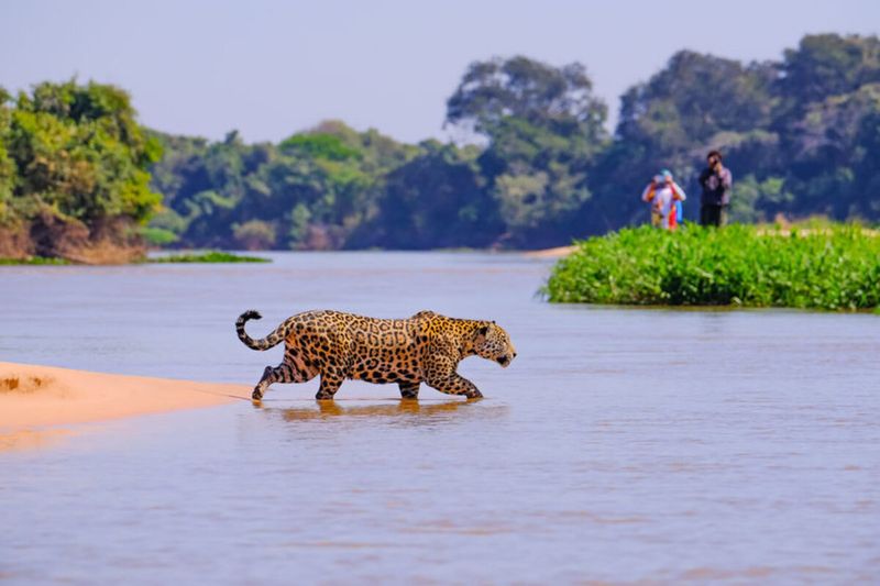 Pantanal, Brazil