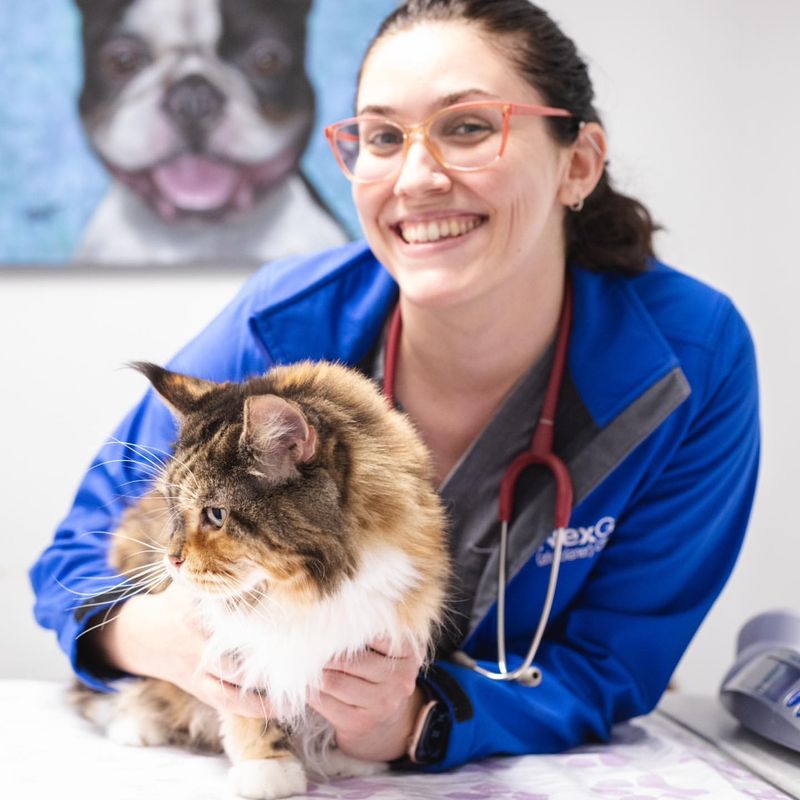 Regular Veterinary Check-Ups