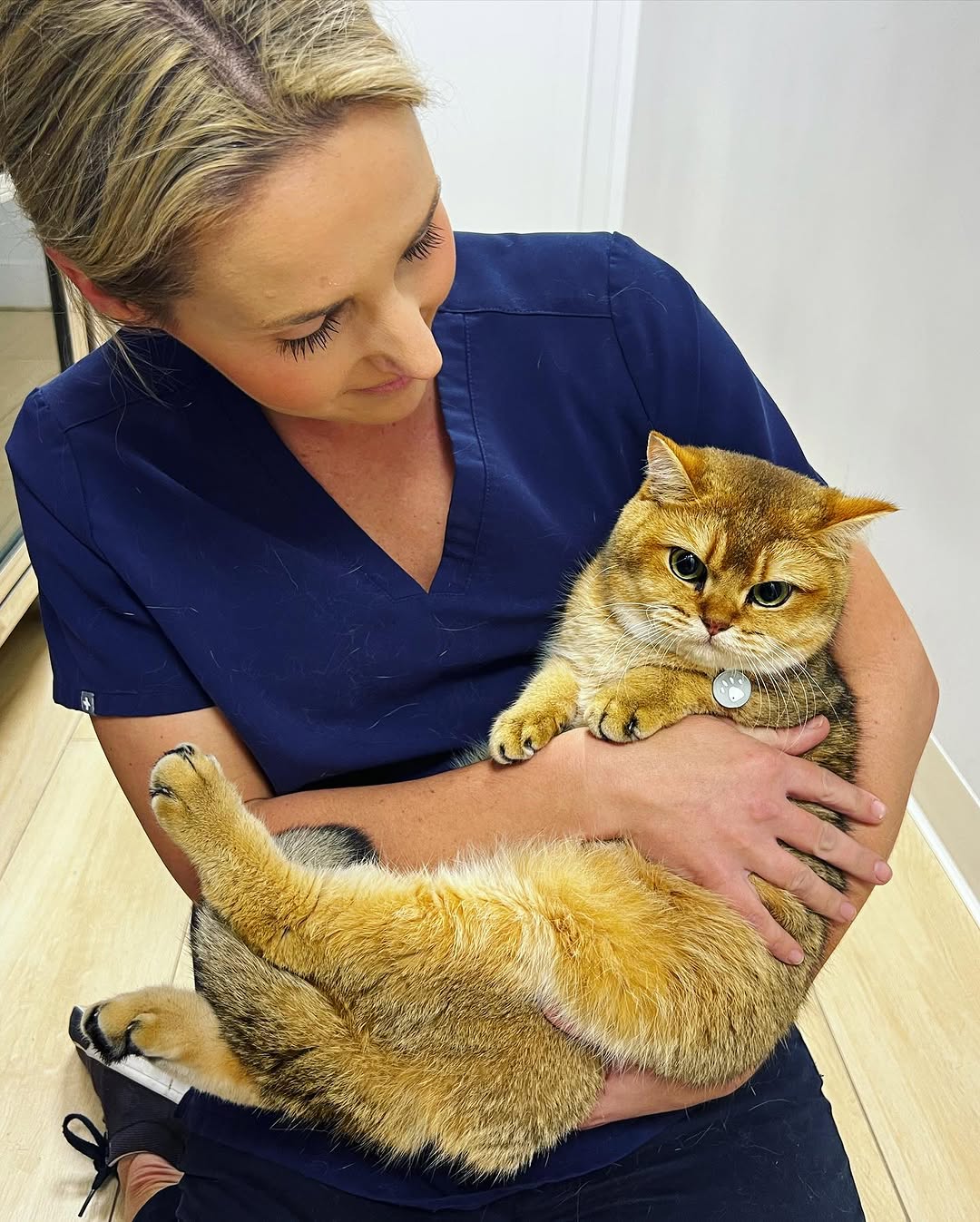 10 Must-Know Tips to Keep Your Pregnant Cat Healthy and Happy Throughout Her Journey