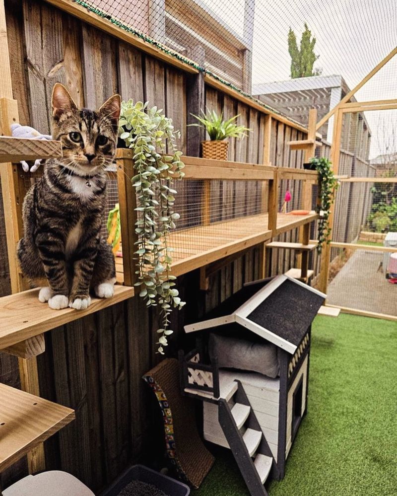 Transform Your Backyard into a Cat Paradise With These 16 Creative Ideas