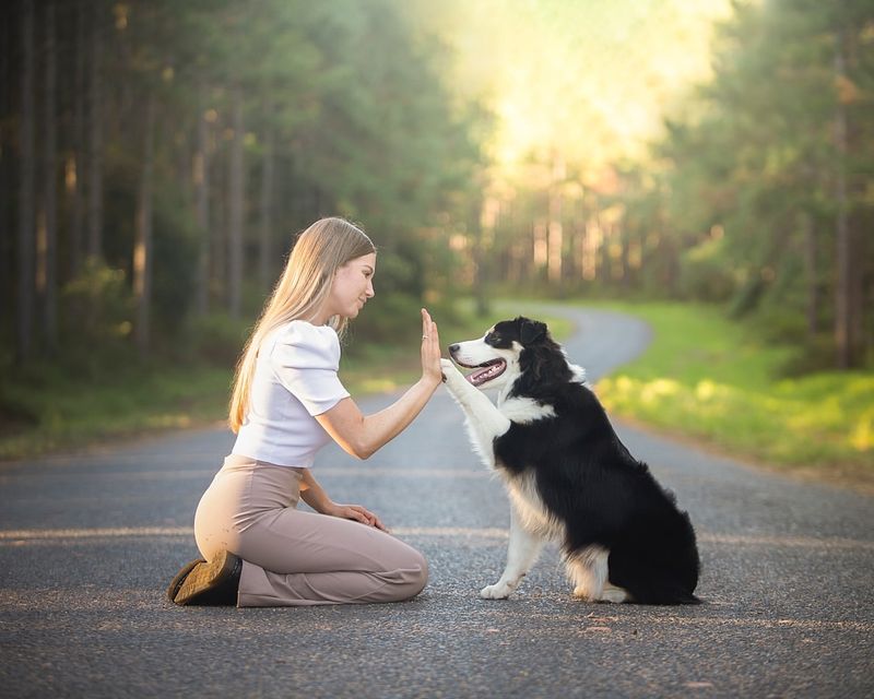 Try These 10 Fun Ways to Boost Your Dog’s Brainpower